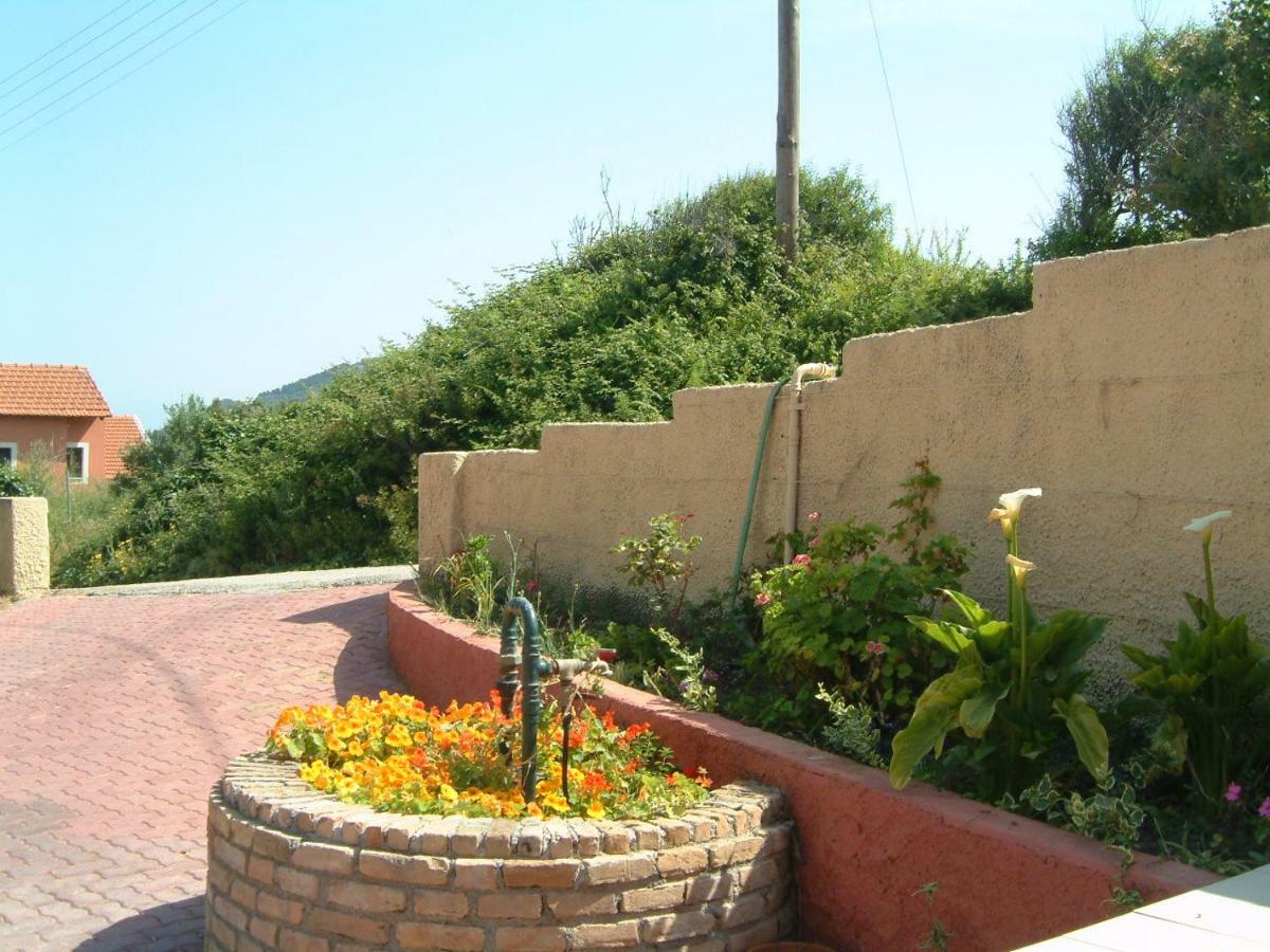 Angela Apartments Pool Gardens And Sea Views Agios Stefanos Avliotes  Exterior foto